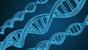 摩門教與科學