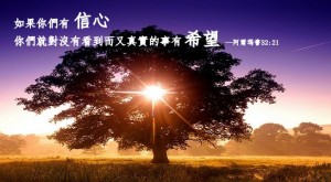 懷著信心向前進