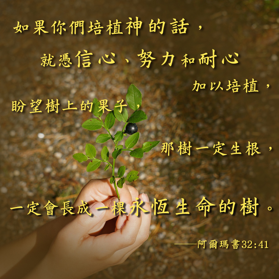 從經文 獲得對福音的見證