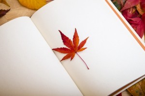 個人歷史 ，寫下你的故事