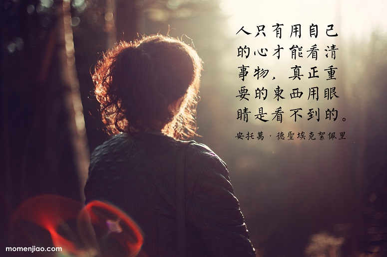 信心的原則