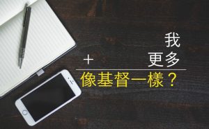 完美的謊言