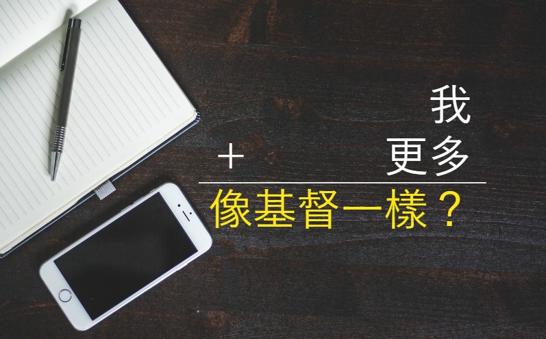 完美的謊言