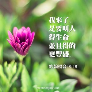 基督豐富我們的生命