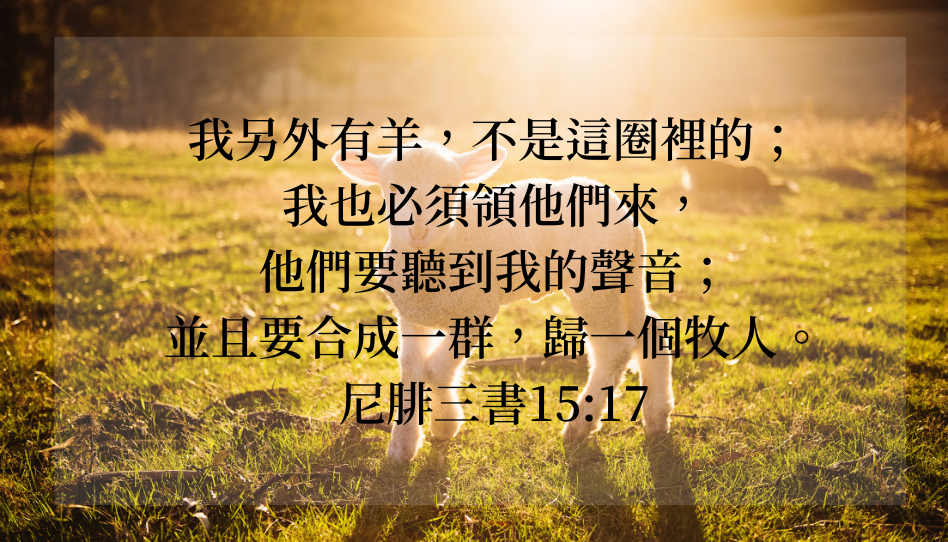 摩爾門經的角色