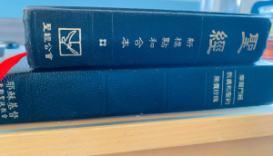 摩爾門經是什麼